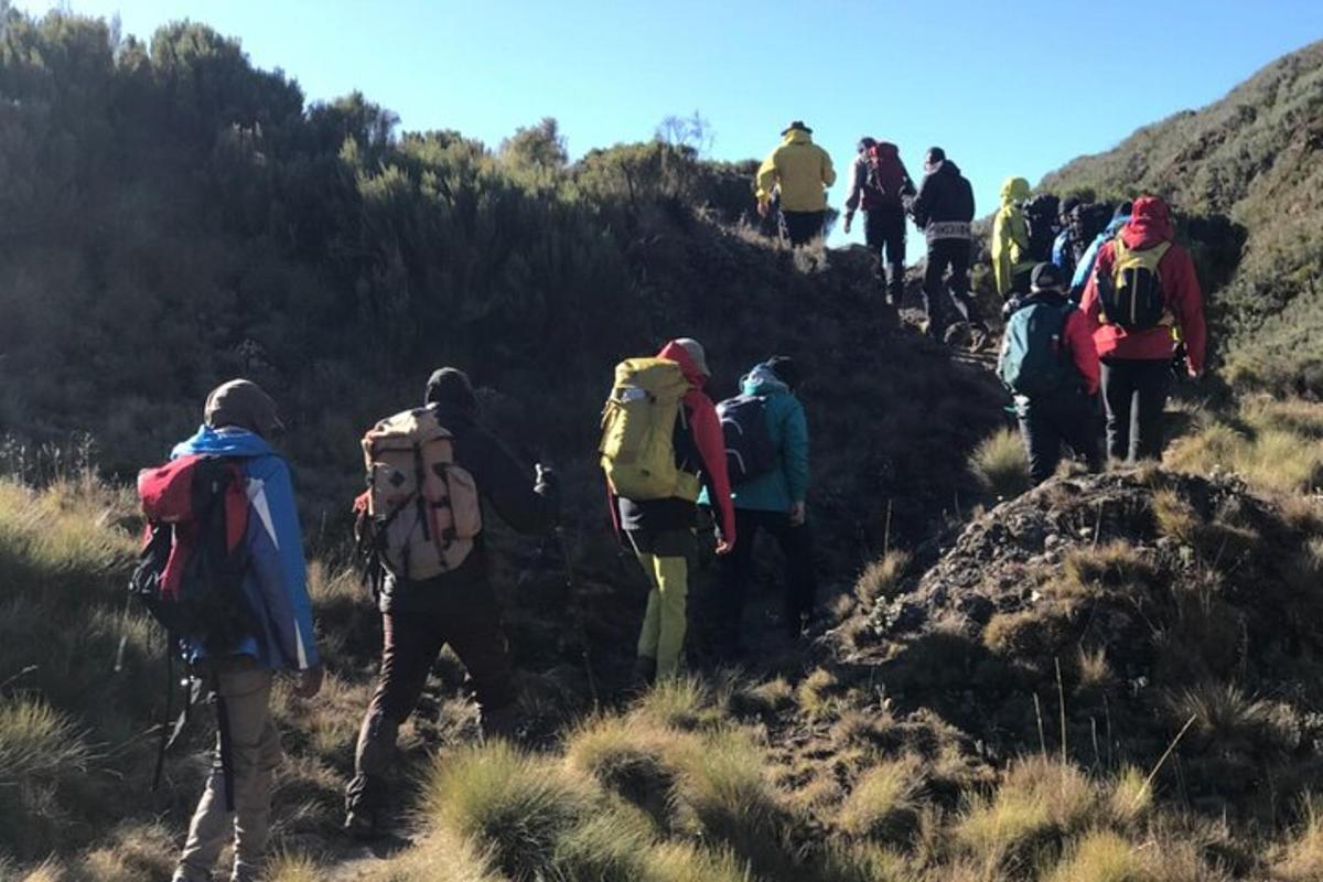 un gruppo di persone che cammina su una collina lungo un sentiero