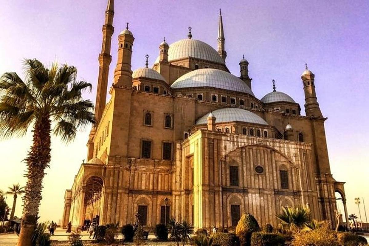 önünde palmiye ağacı olan bir bina