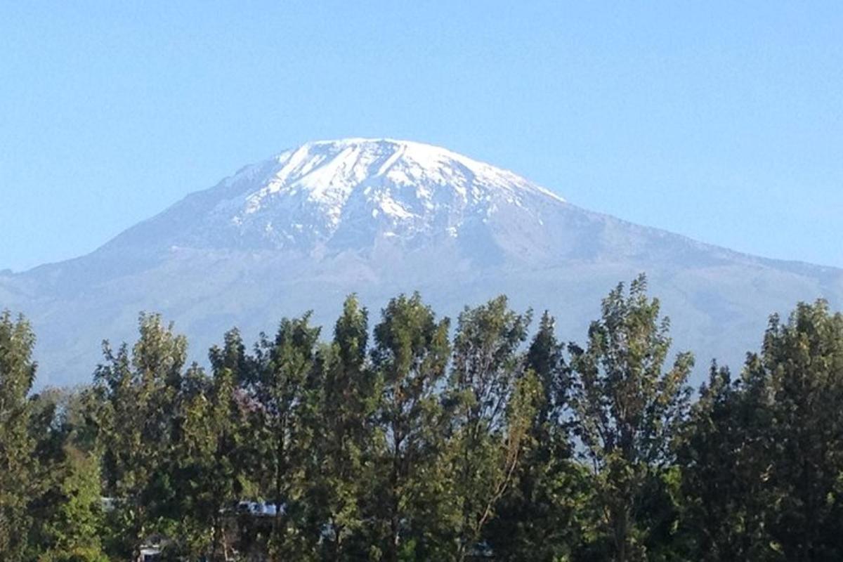 a snow covered mountain with trees in front of it