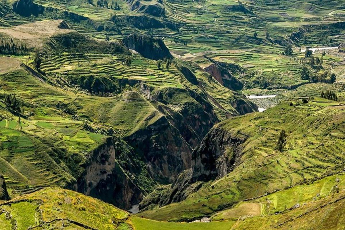 vista aèria d'una serralada amb vegetació verda