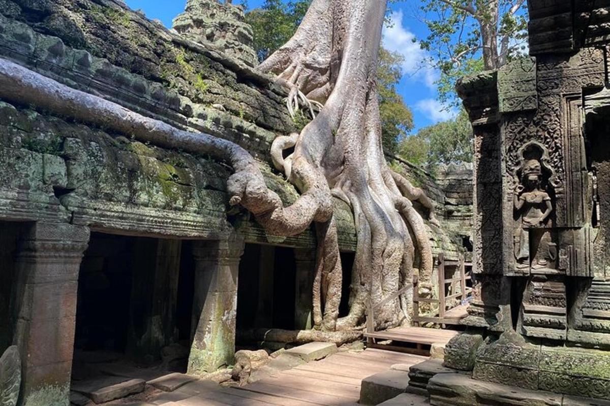 un edifici amb arbres que creixen al costat