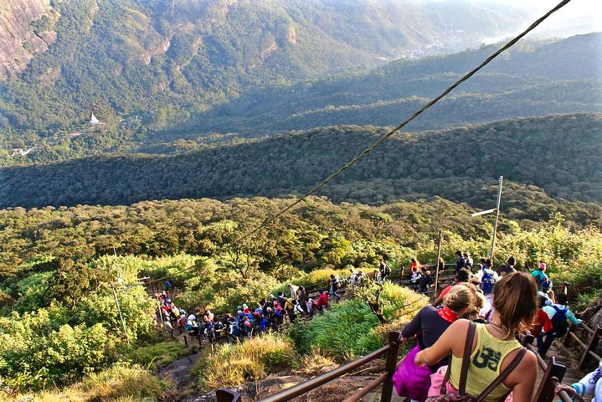 a group of people on a zip line in the mountains