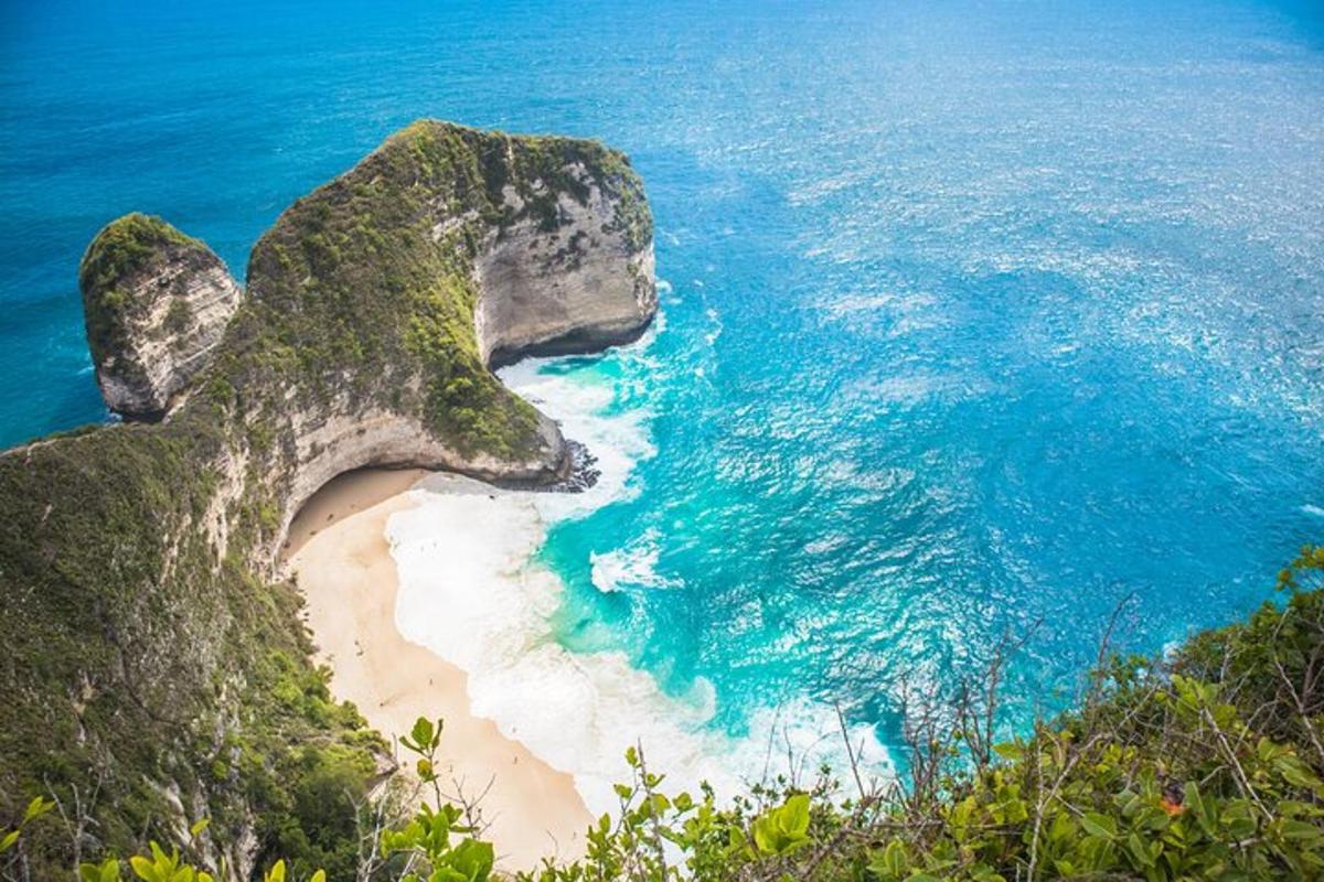 una vista aérea de una playa junto al océano