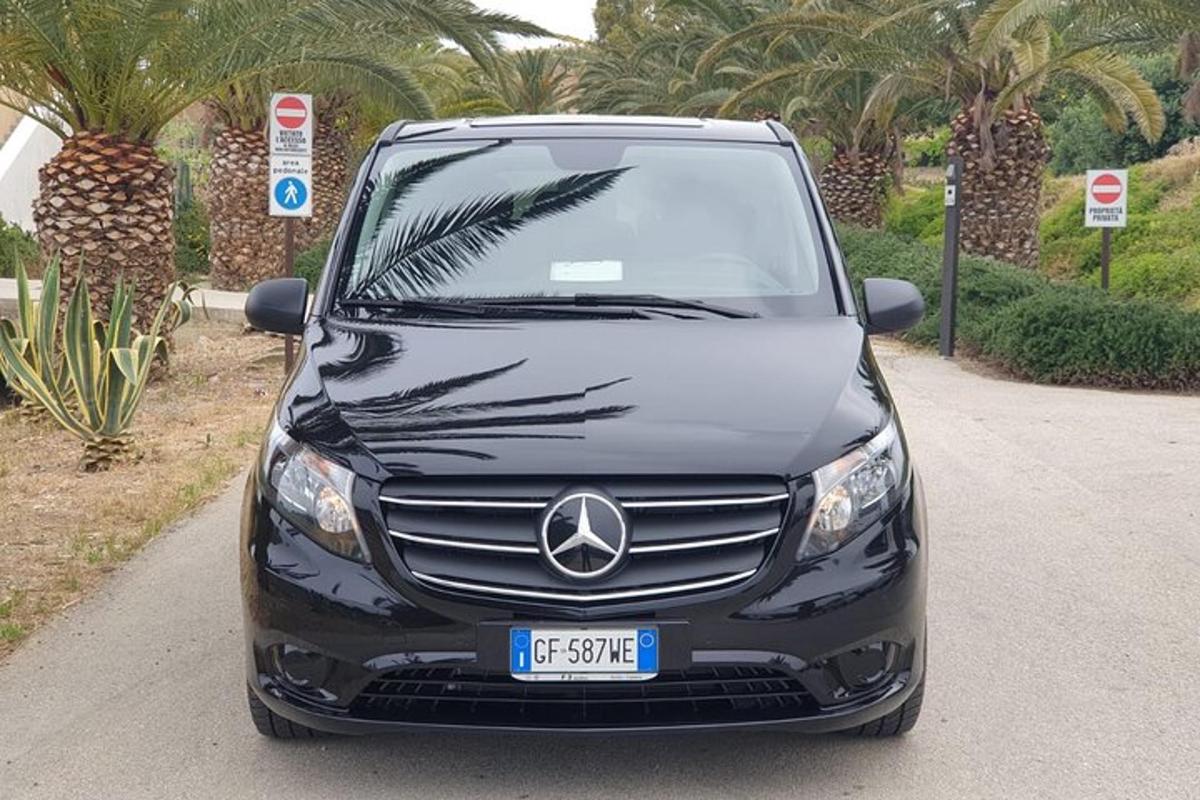 egy fekete autó parkolt egy pálmafás úton