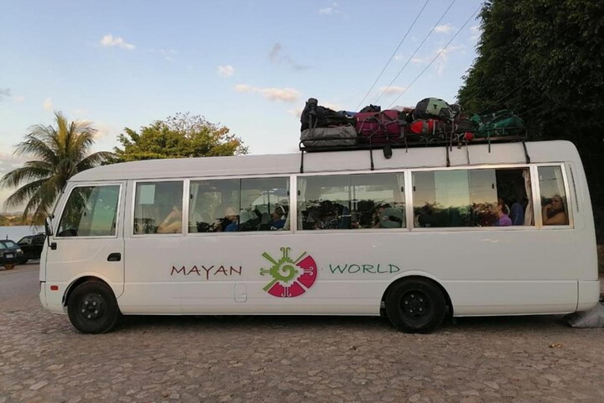 a white bus is parked in a parking lot