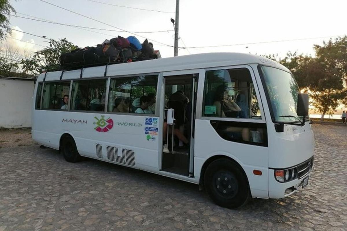 a white bus with people sitting inside of it