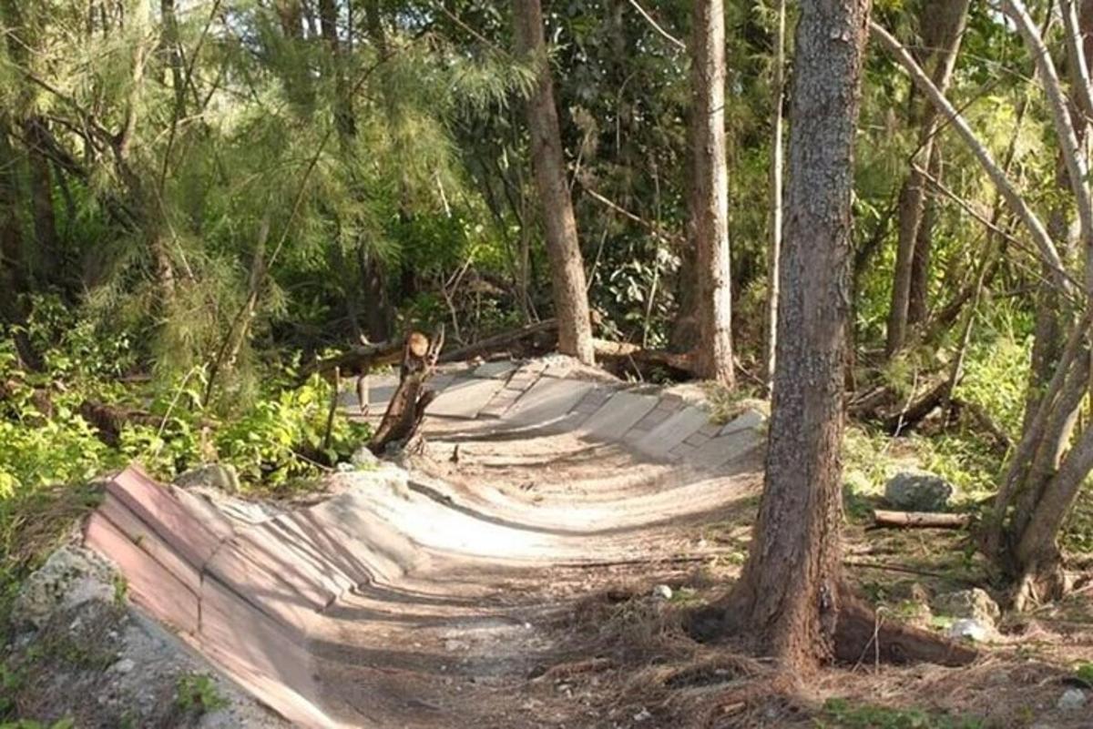 μια αιώρα στη μέση ενός δάσους