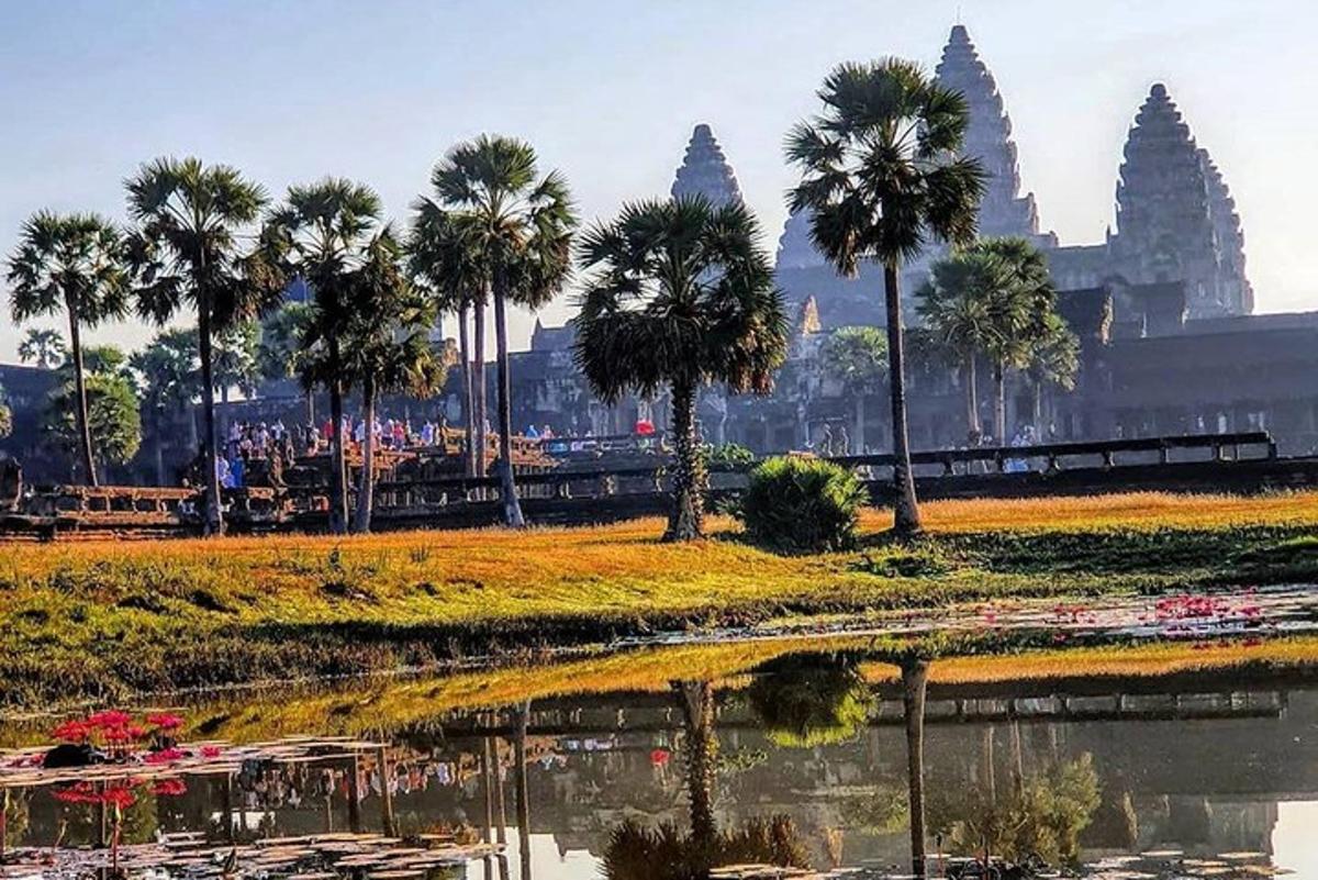 un reflex de palmeres a l'aigua davant d'un temple