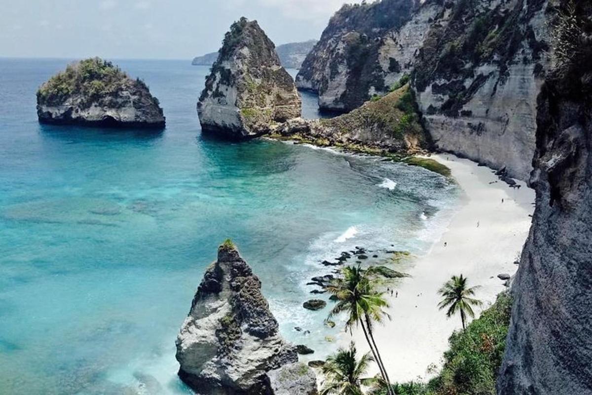 Una playa con rocas y palmeras y el océano.