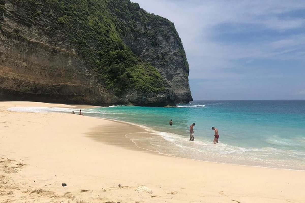 Un grupo de personas de pie en el agua en una playa.