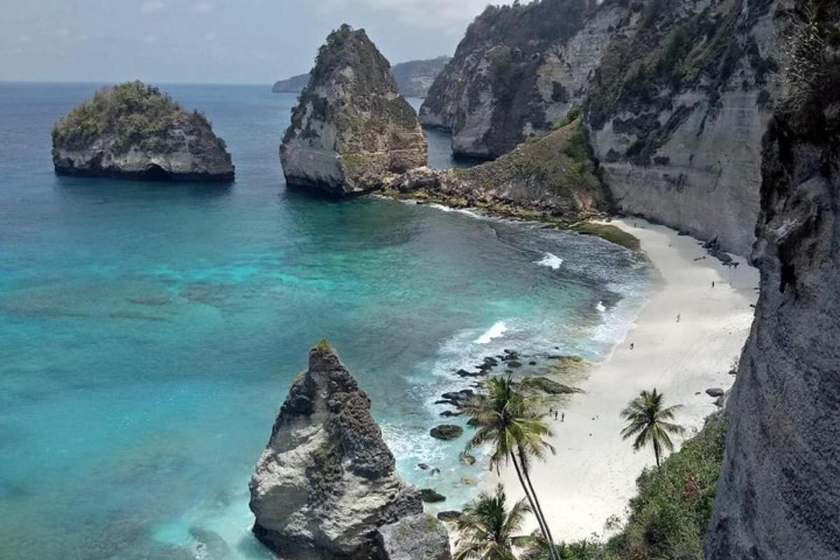 una playa con palmeras y rocas en el océano