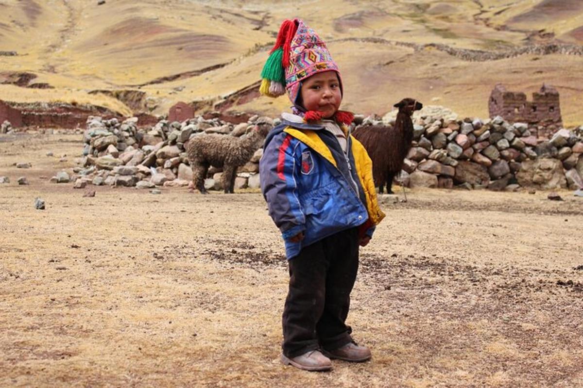 un bambino in piedi davanti a un gregge di pecore