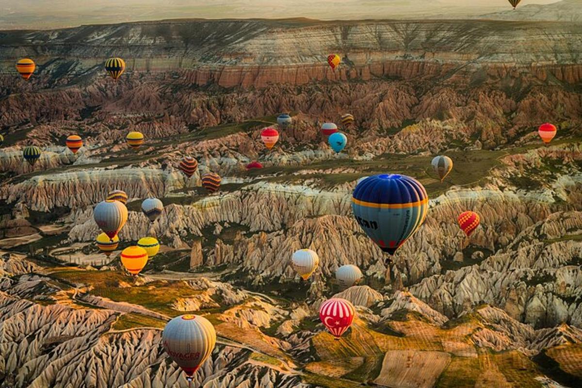 un gruppo di mongolfiere che volano sopra un canyon