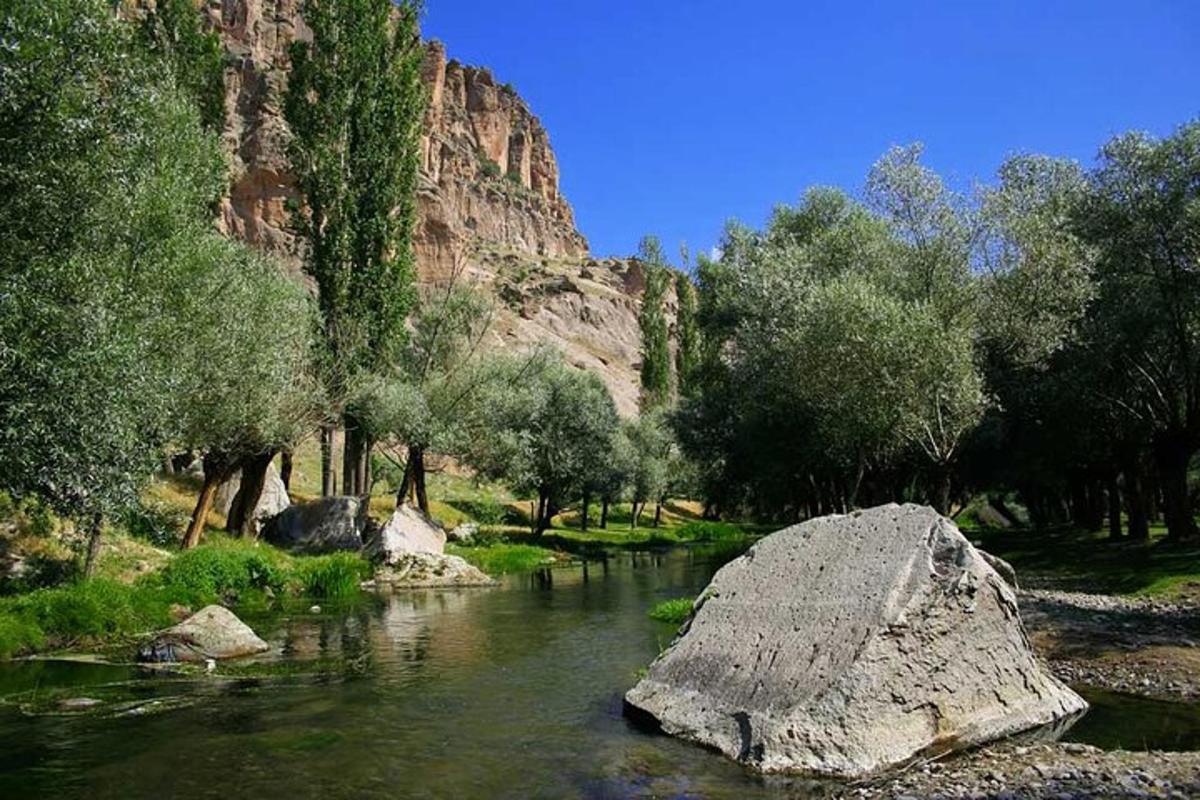 a river with a rock and trees and a mountain