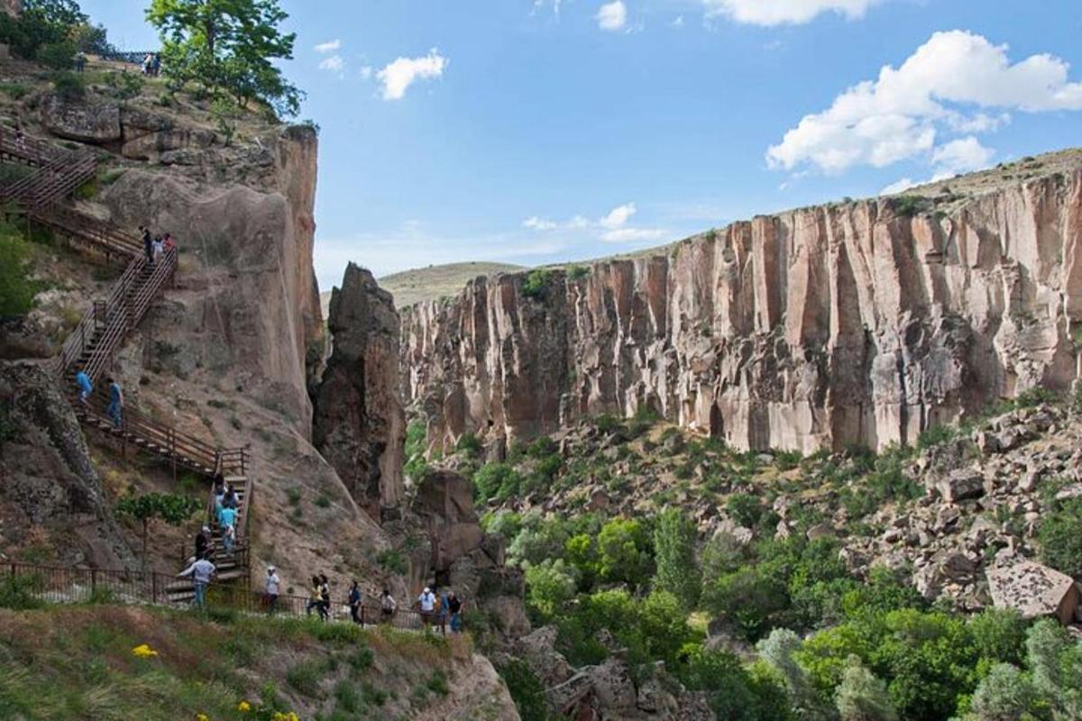a group of people climbing up a mountain