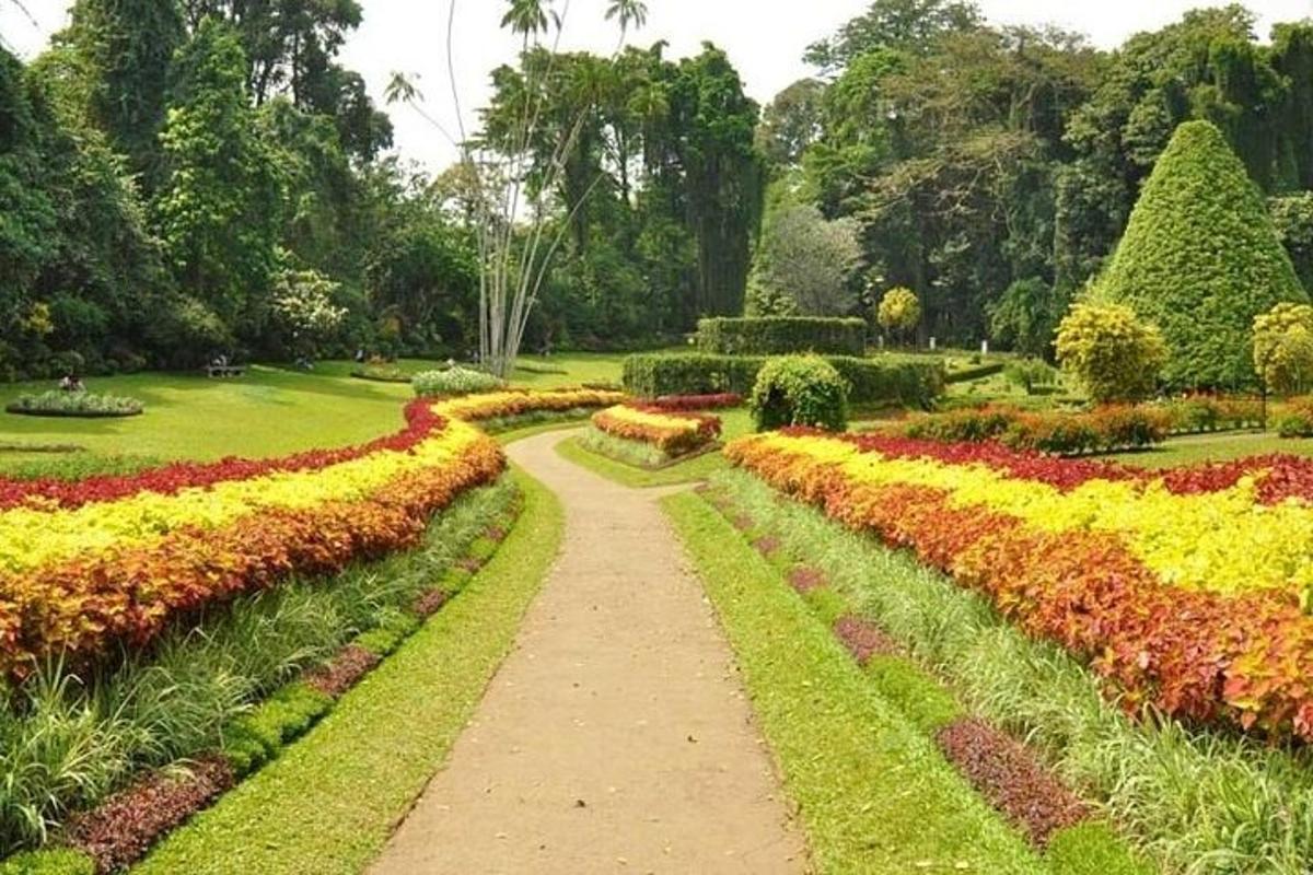 Un camino a través de un jardín con flores en un parque.