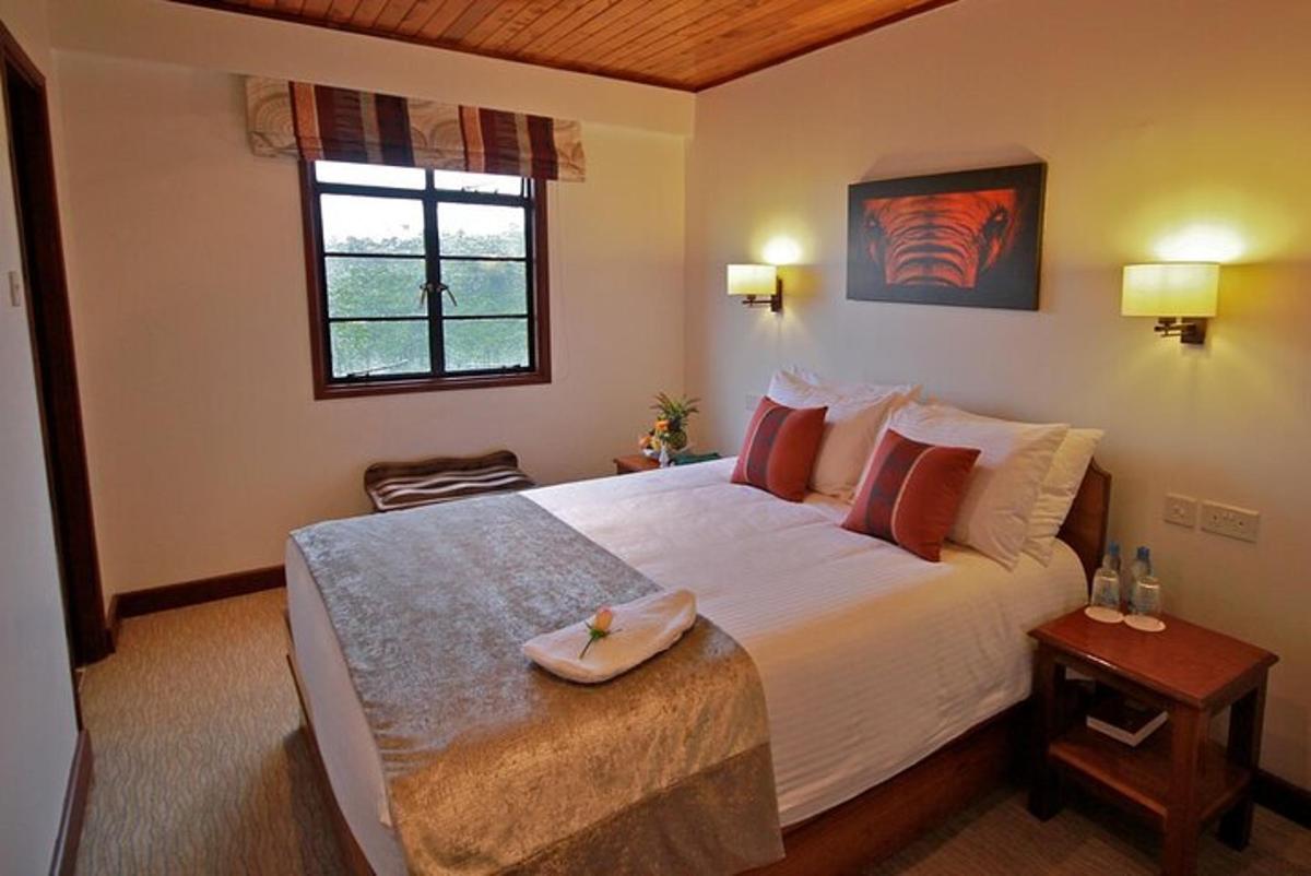 ein Schlafzimmer mit großem Bett und Fenster