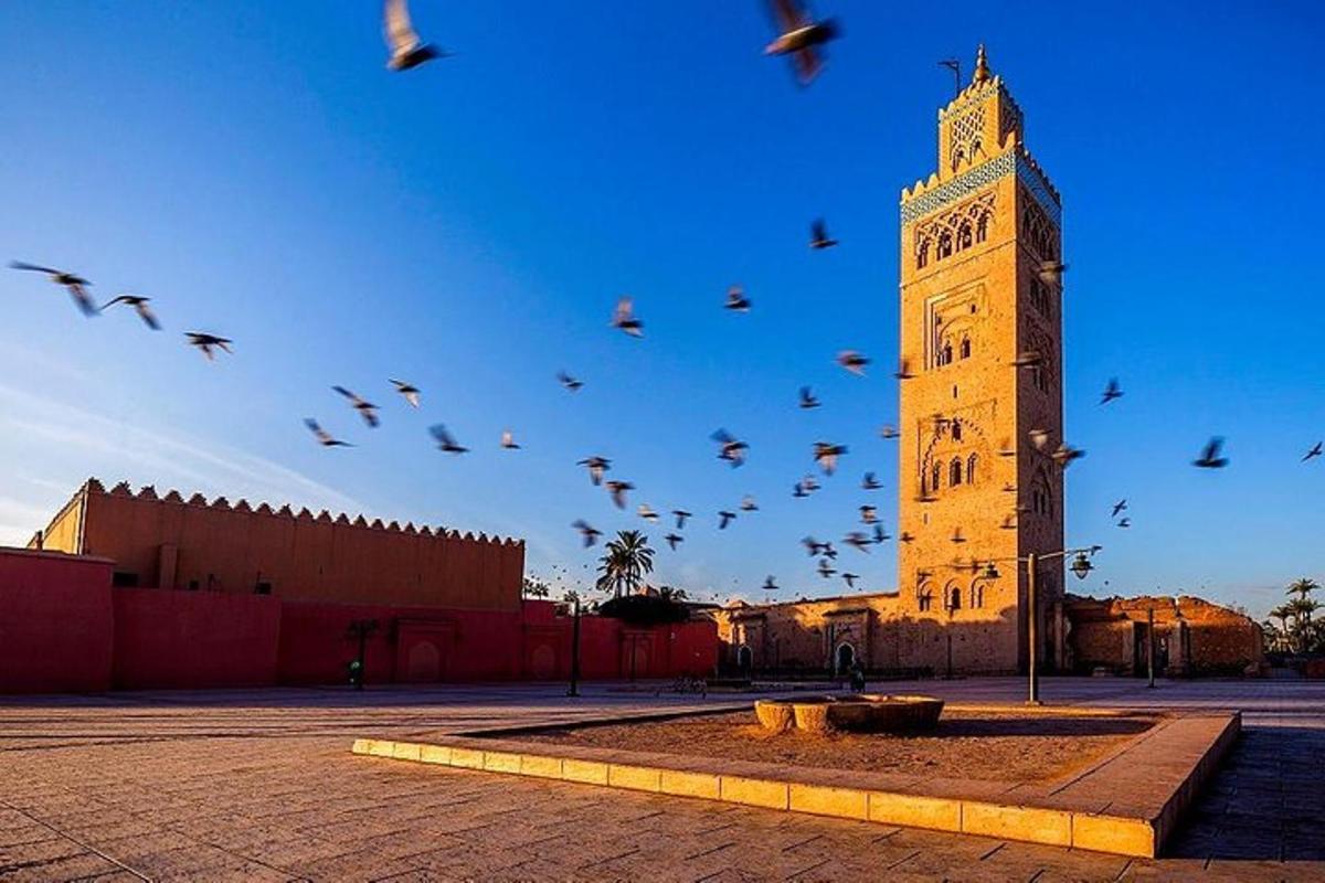 سرب من الطيور يحلق حول برج الساعة