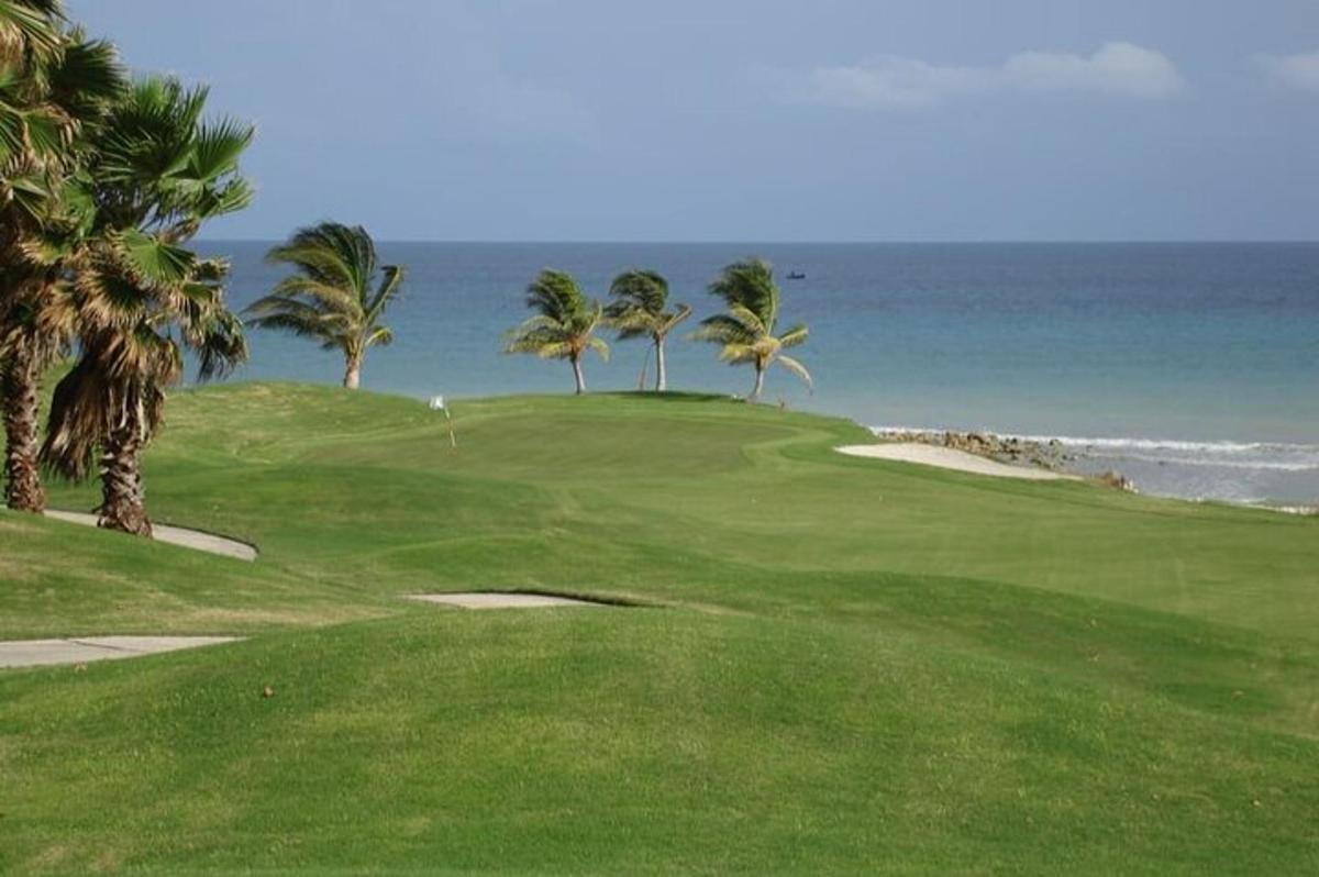 un teren de golf verde cu palmieri și ocean