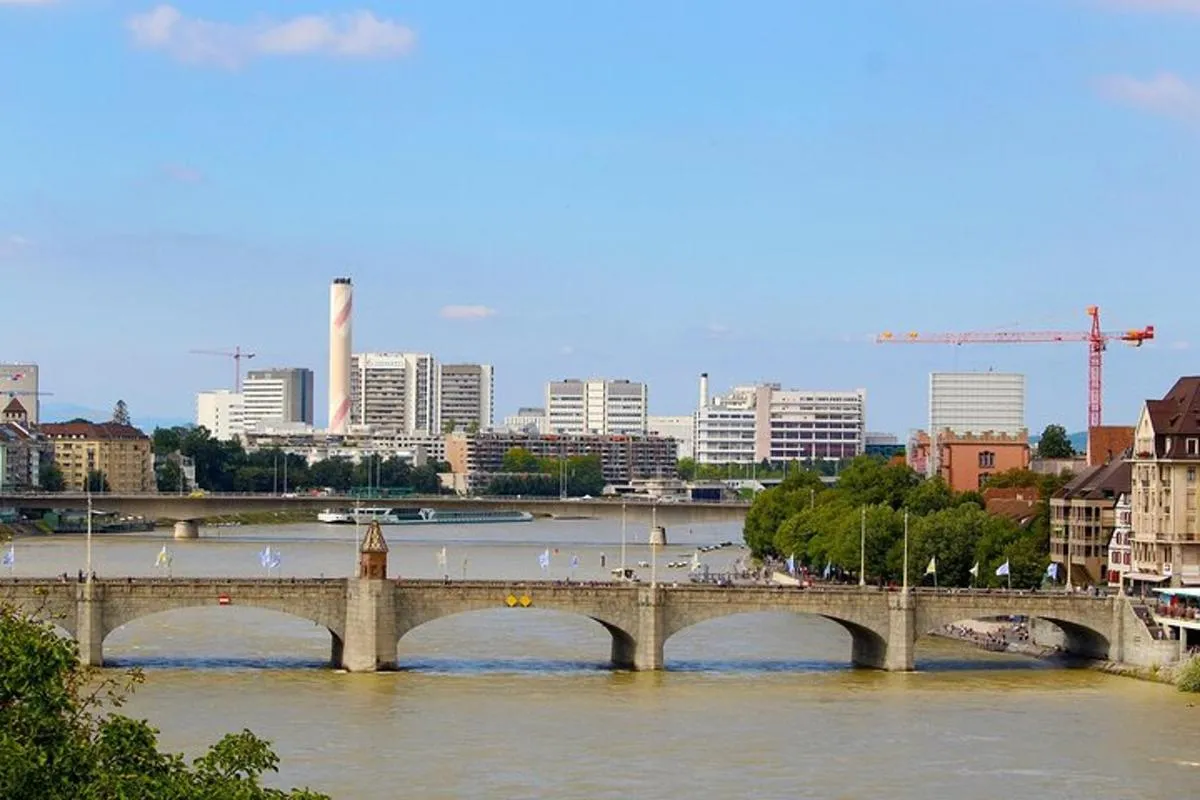 Transfert privé de Colmar à Bâle, porte-à-porte et accessible – photo 6
