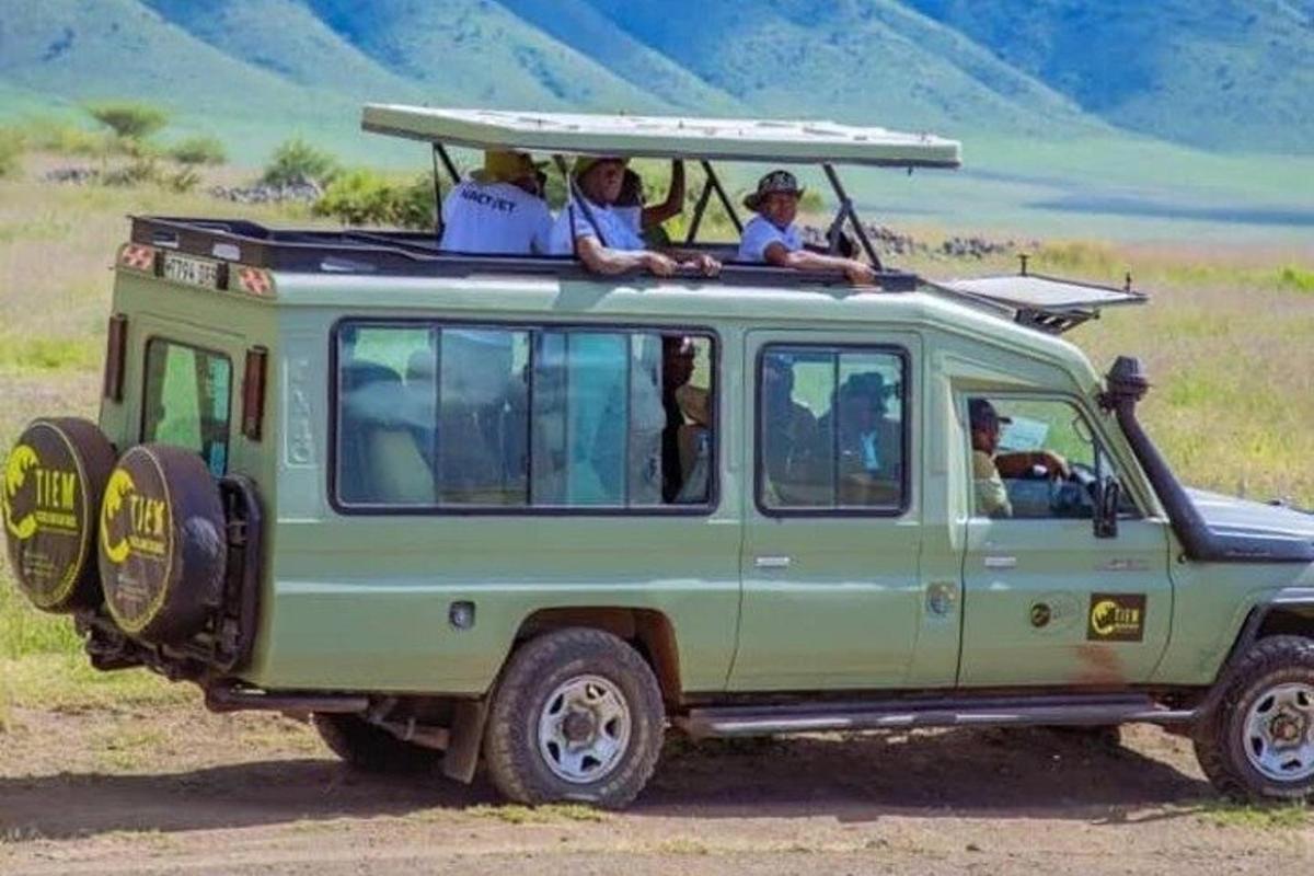 a group of people riding in the back of a green jeep