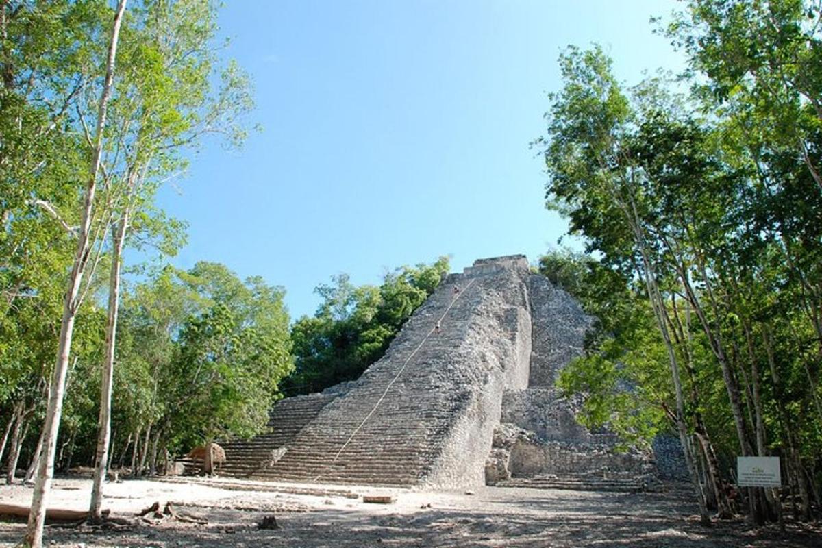 een piramide midden in een bos van bomen