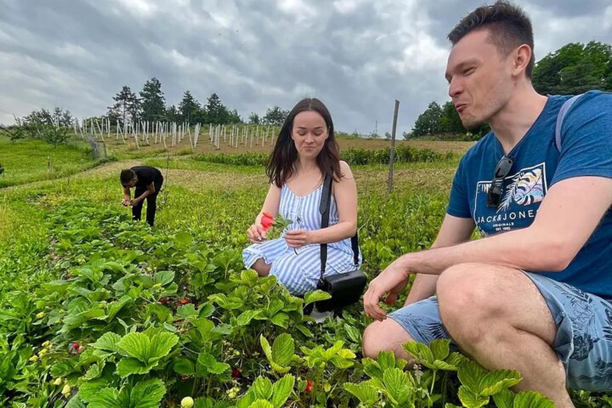 karl og kona sitja í plöntuakri