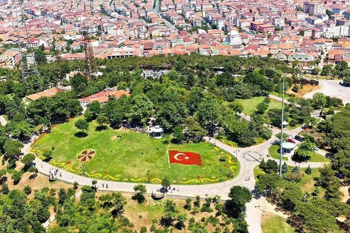 an aerial view of a park with a red flag