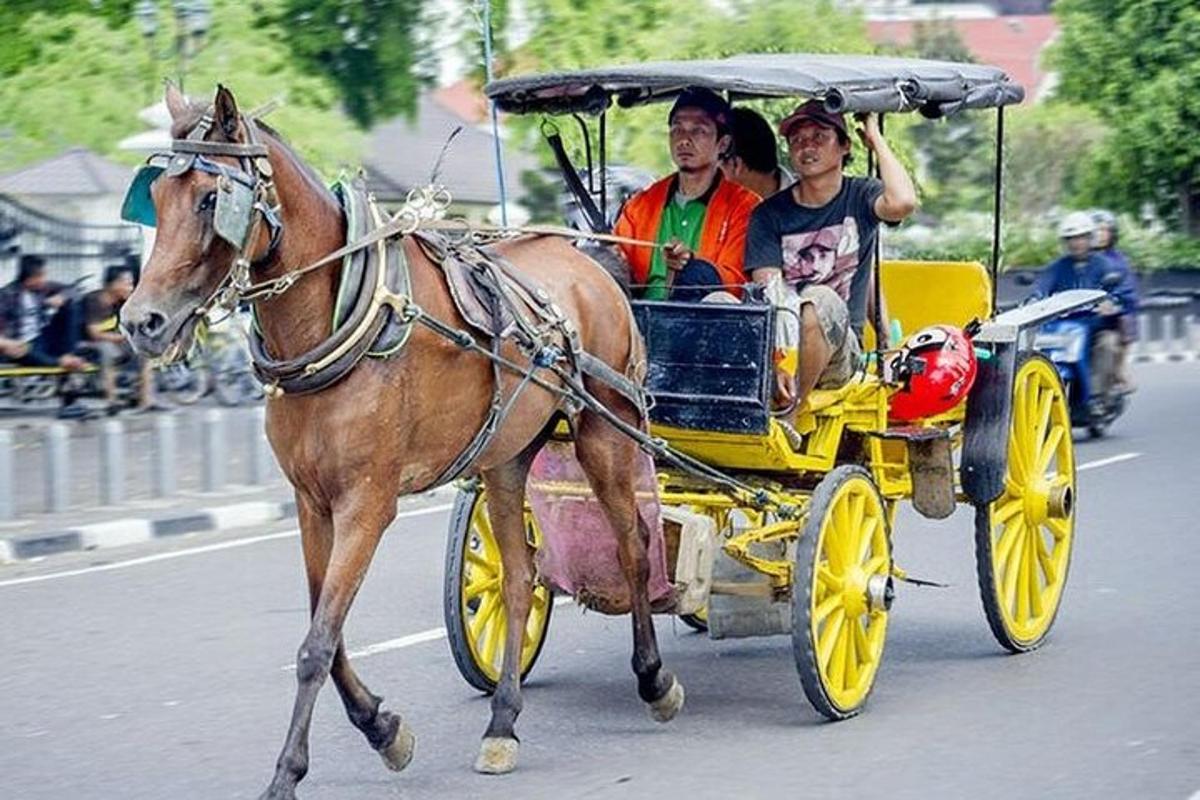konj, ki vleče kočijo z dvema osebama