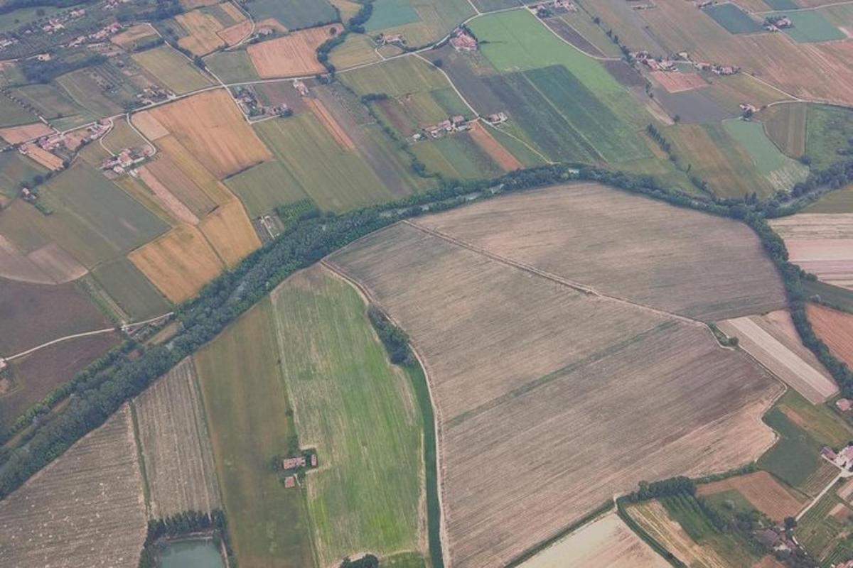 Letecký pohled na pole s poli a stromy