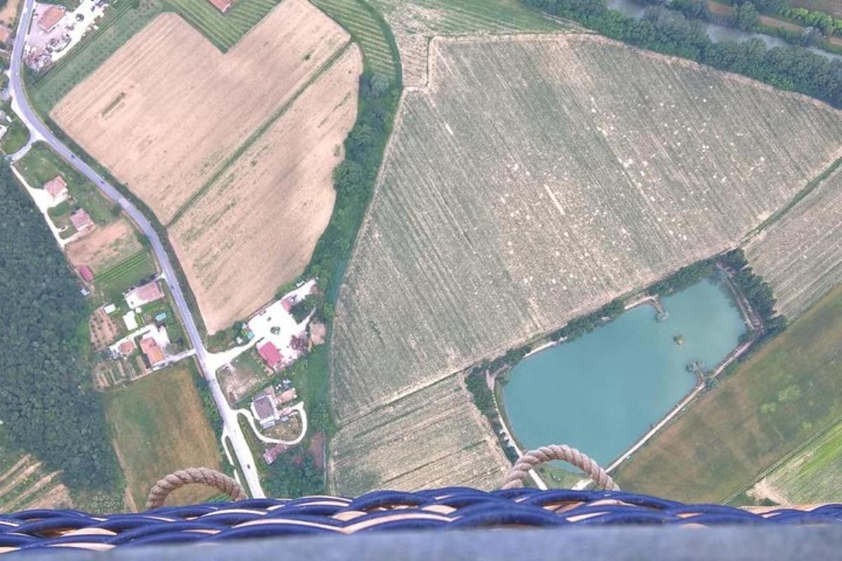 una vista dall'alto di un campo con una pozza d'acqua