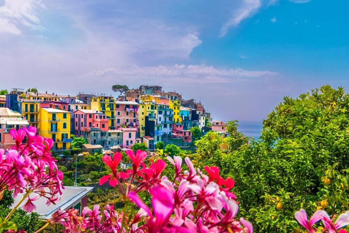 a view of a city with colorful buildings and flowers