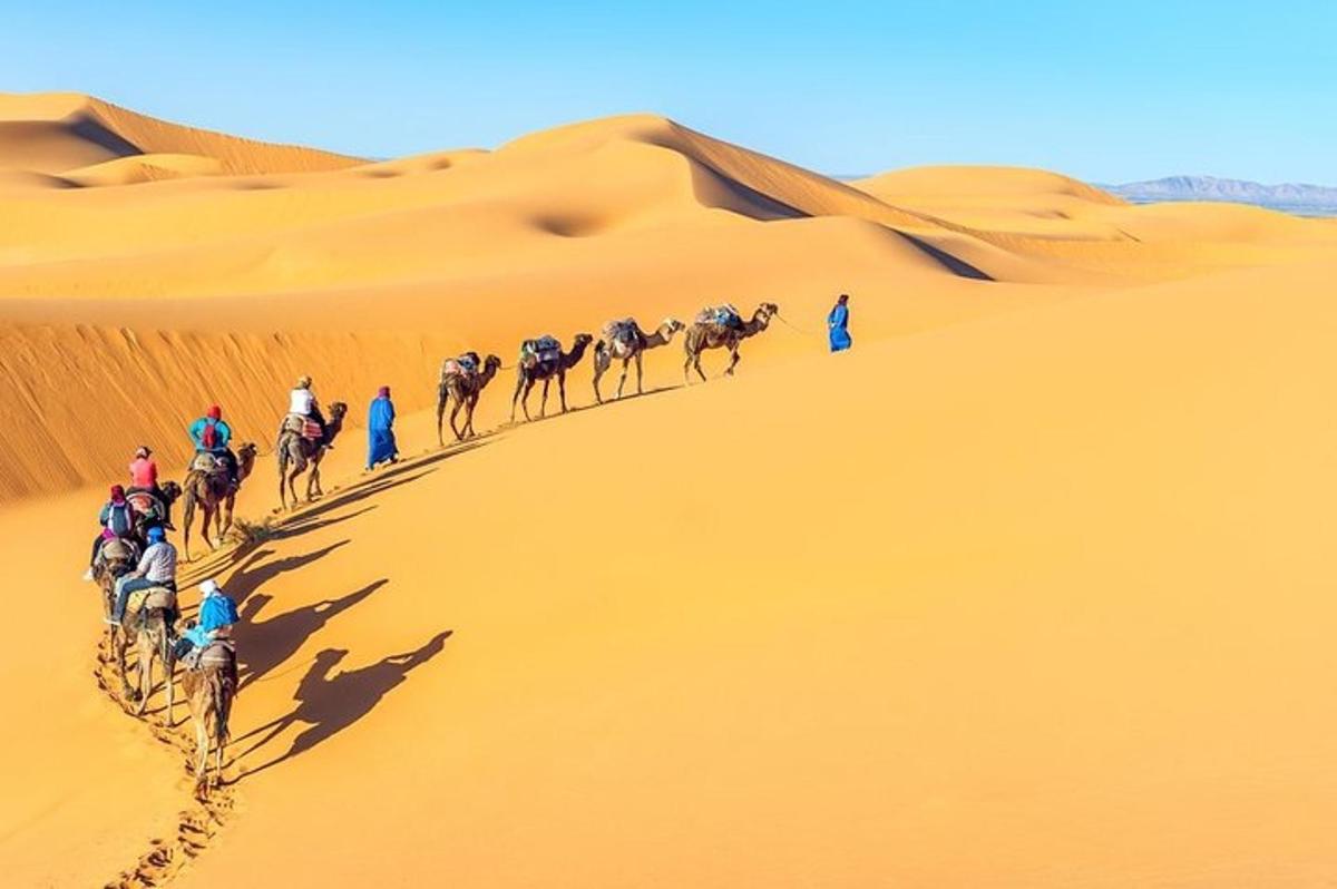 مجموعة من الناس يركبون الجمال في الصحراء