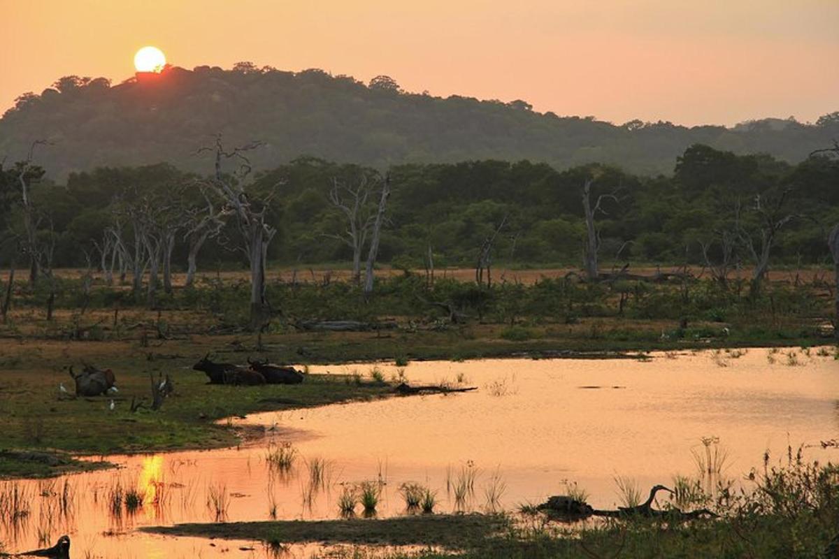 un tramonto su un campo con uno specchio d'acqua