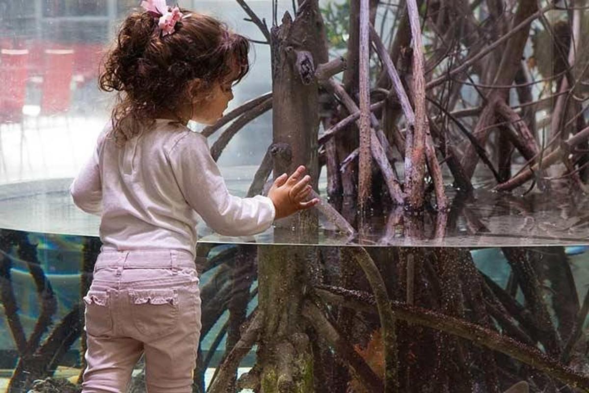 a little girl standing in front of a fish tank