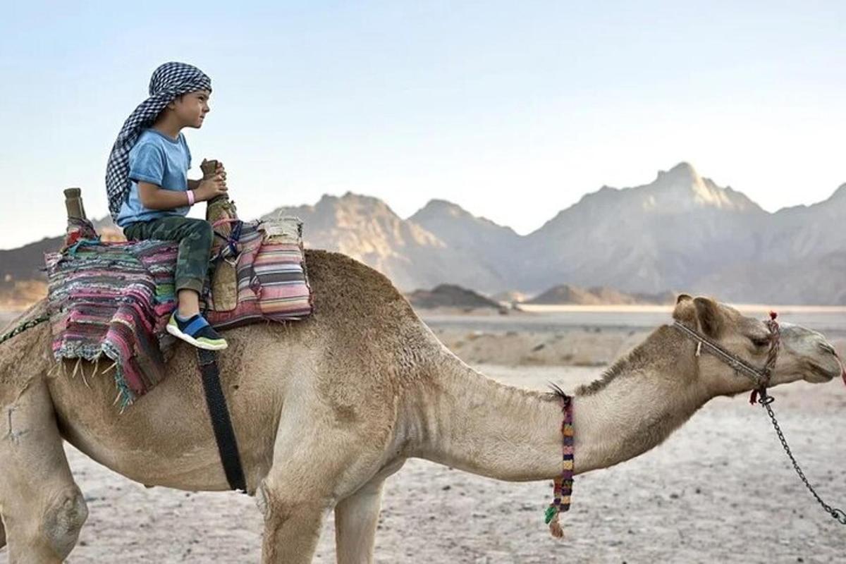 un ragazzino seduto su un cammello nel deserto