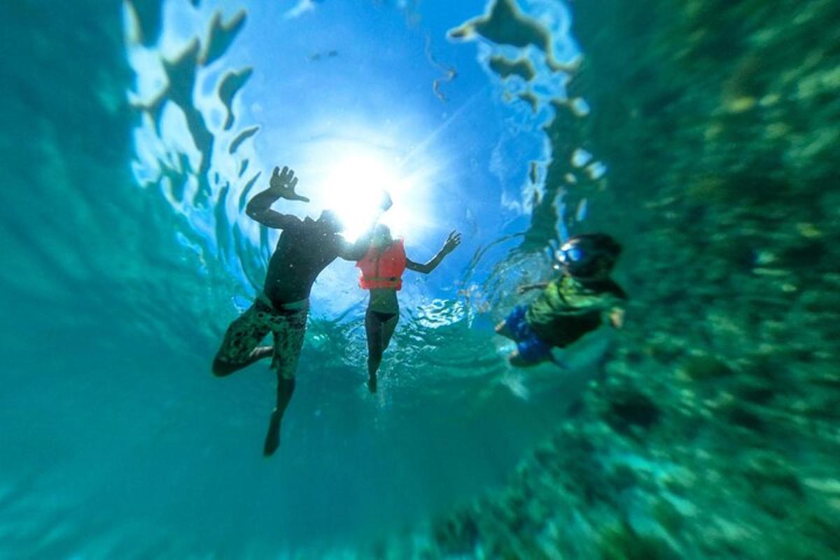 duas pessoas nadando no oceano com o sol na água