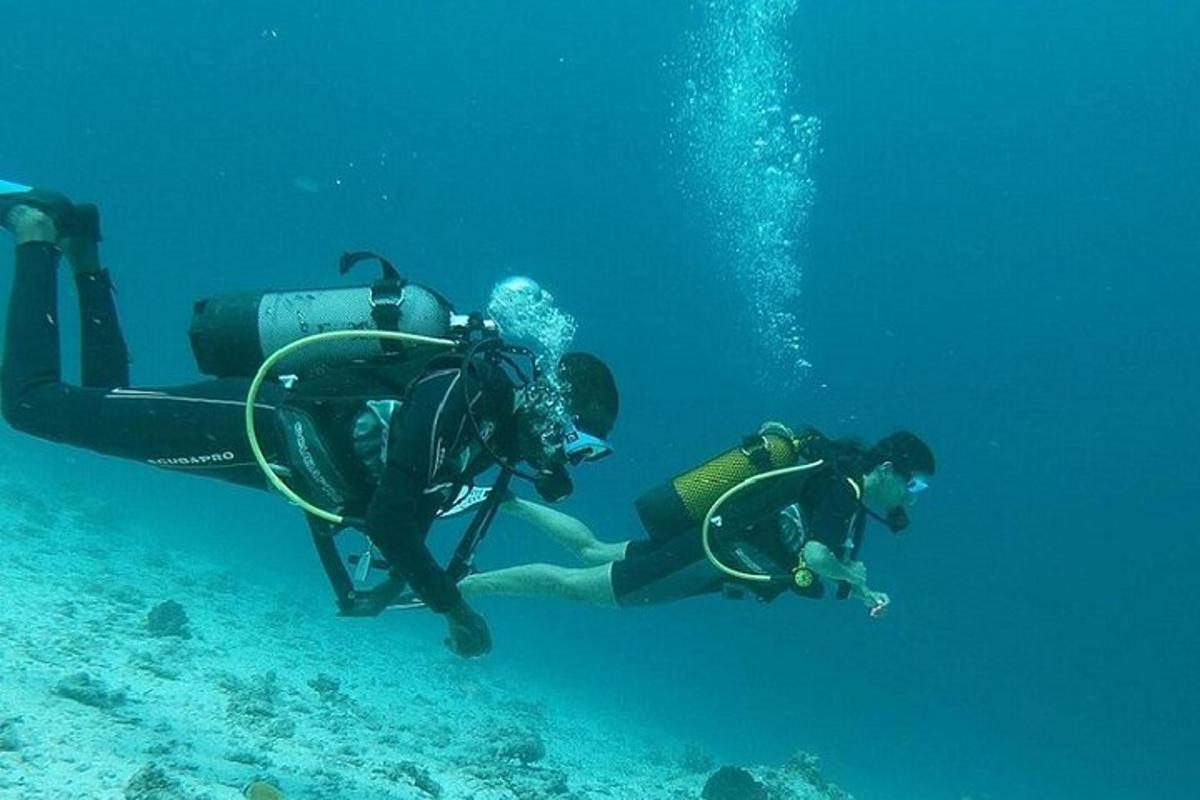 deux personnes font de la plongée sous-marine dans l'océan
