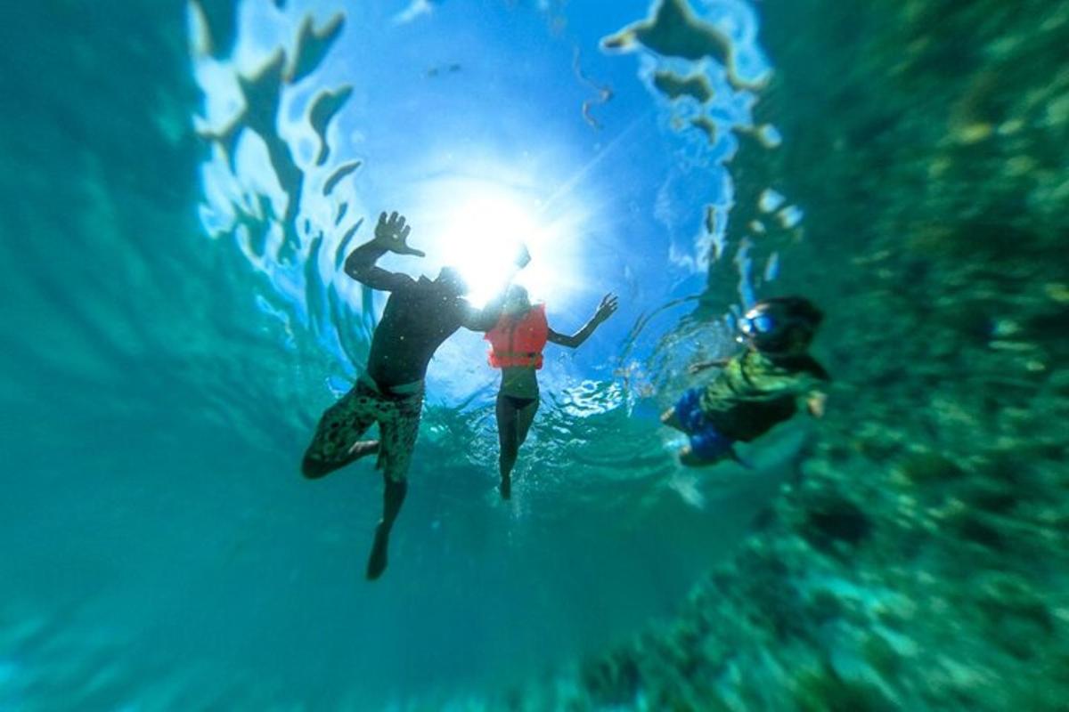 deux personnes nageant dans l'océan avec le soleil dans l'eau