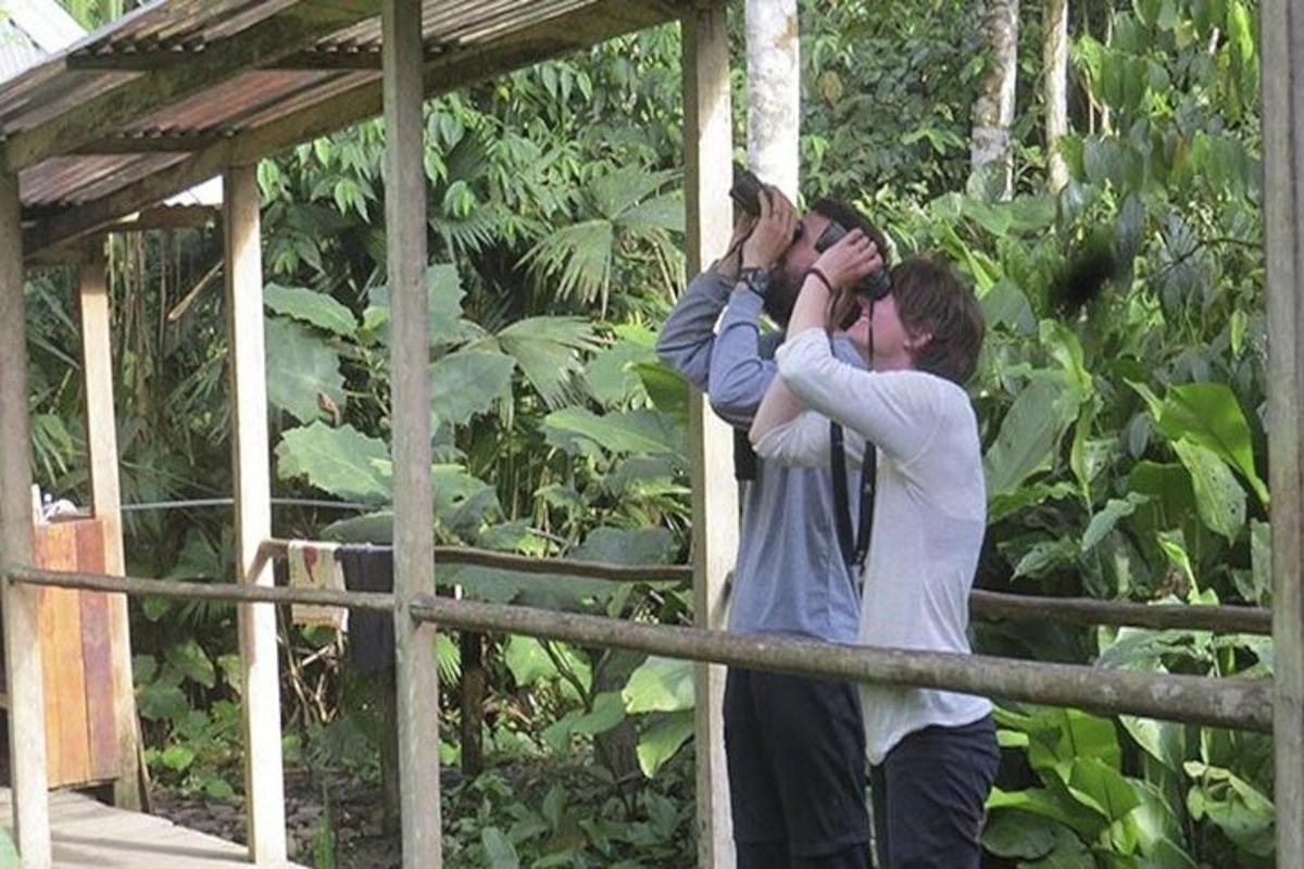二人の男性が猿の写真を撮っている