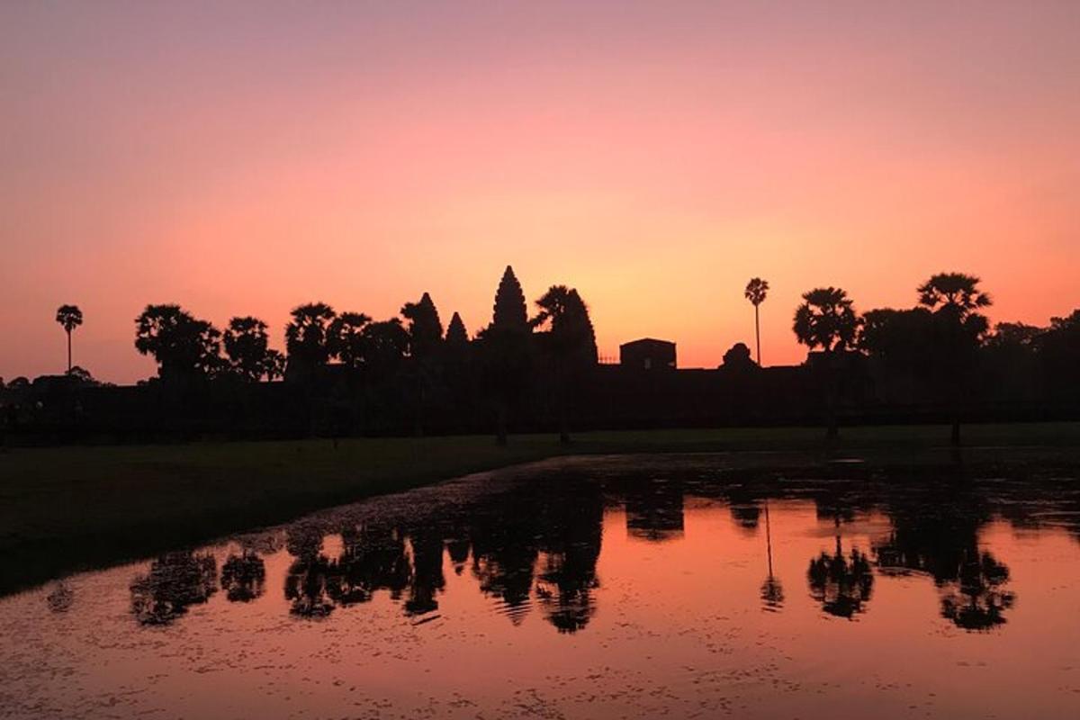 un tramonto su uno specchio d'acqua con palme