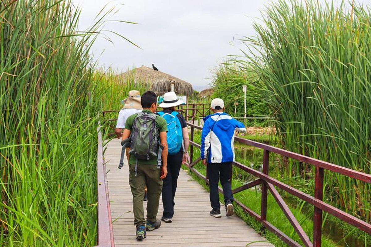 un gruppo di persone che camminano lungo un ponte di legno