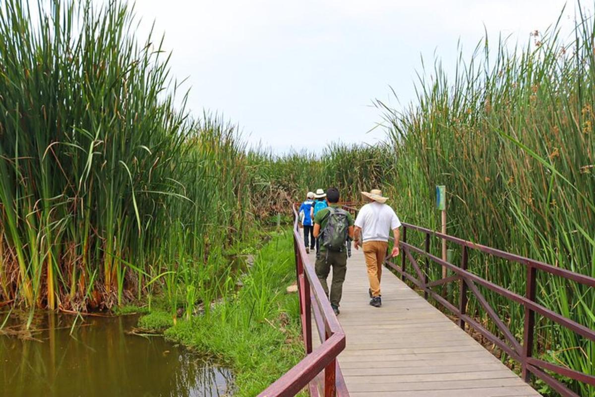 un grupo de personas caminando por un puente de madera