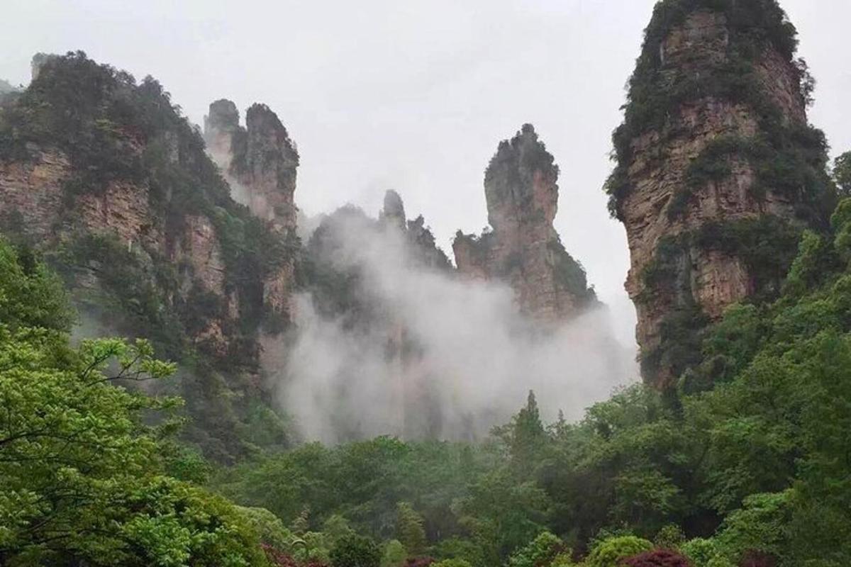 a misty mountain range with trees and rocks
