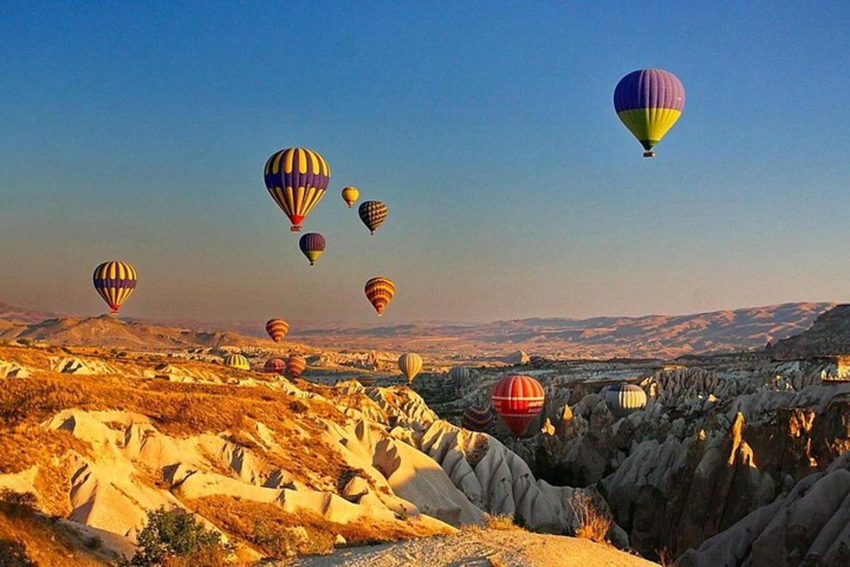 a group of hot air balloons flying in the sky