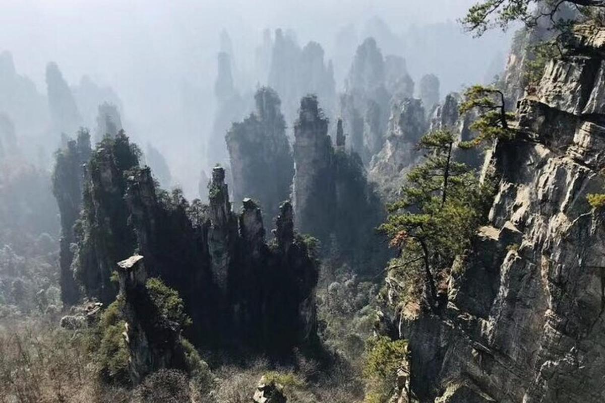 a view of a rocky mountain with trees on it