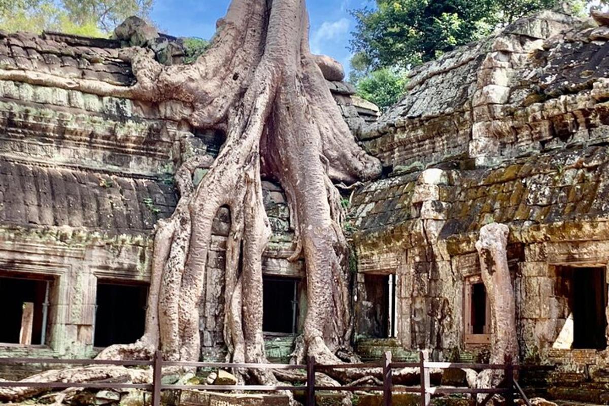 un edificio con alberi che crescono ai lati