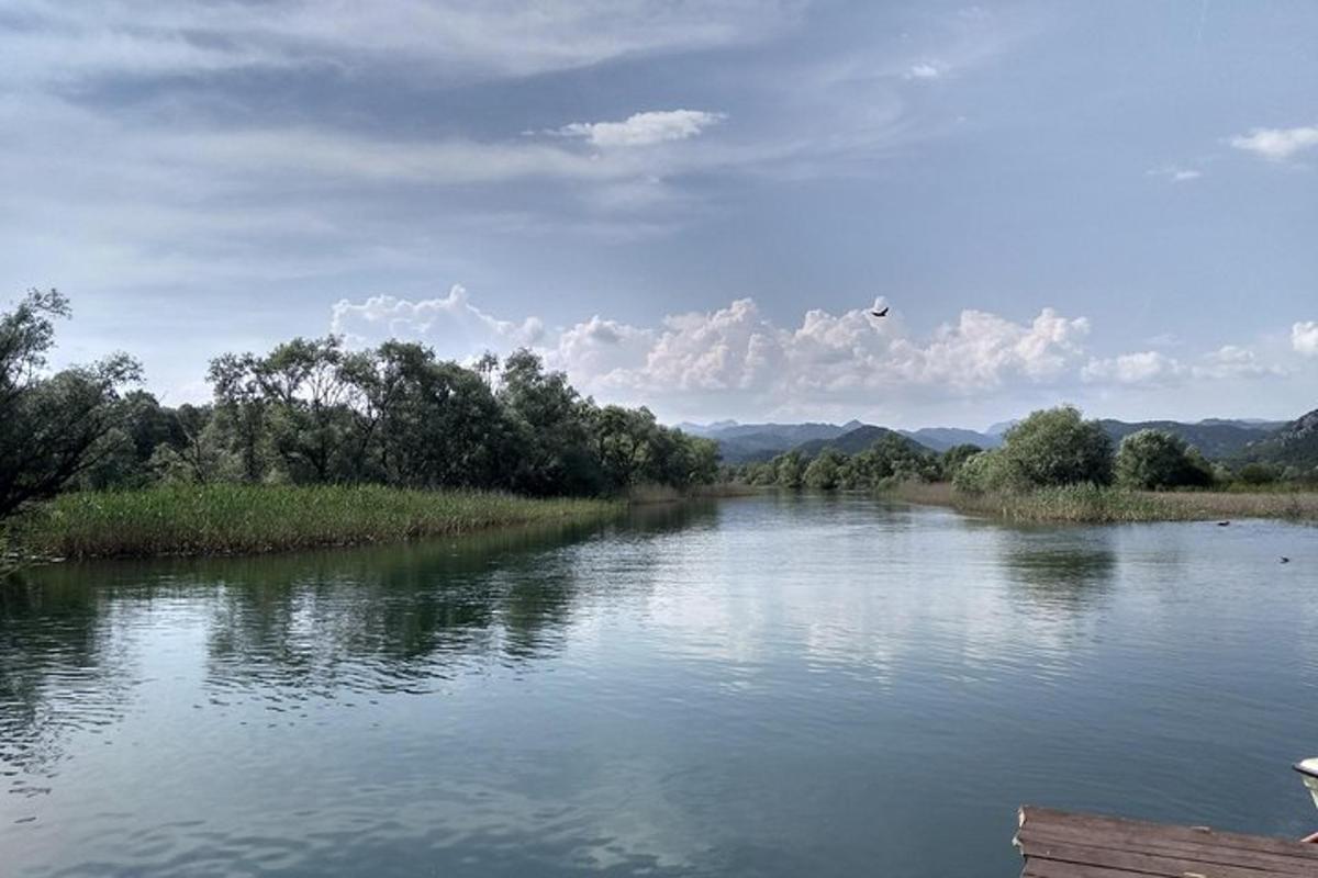 řeka se stromy na jejím břehu