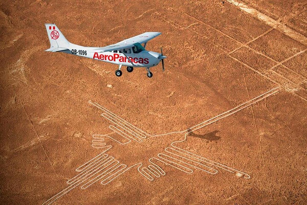 小型飛行機が地面に停まっている