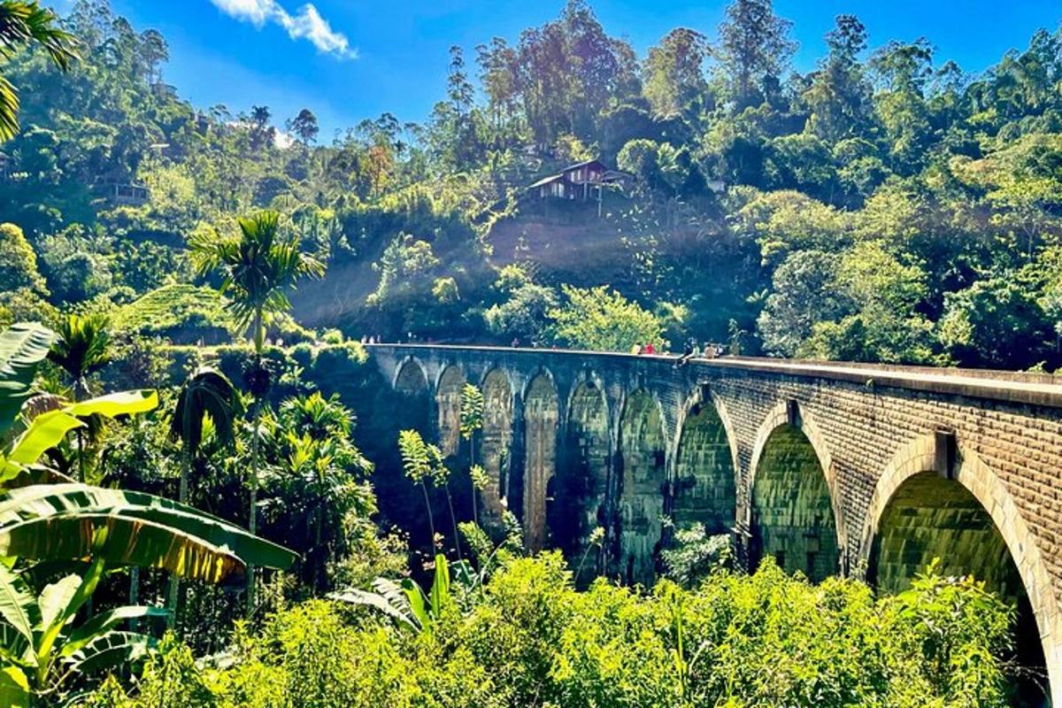 un puente en medio de un bosque con árboles